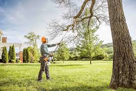 Best Tree Risk Assessment  in Blue Point, NY
