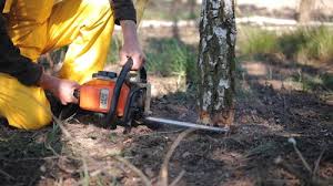 Best Lawn Watering Services  in Blue Point, NY