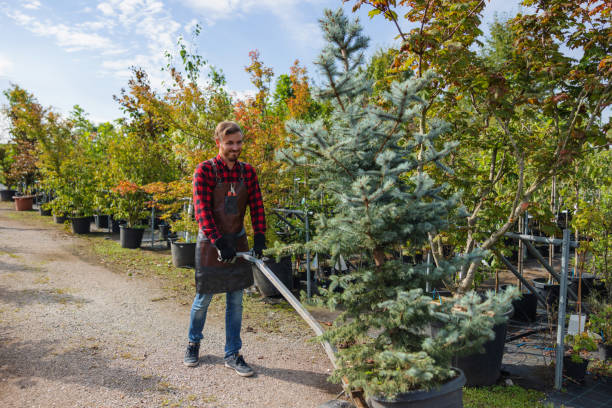 Best Pest Control for Lawns  in Blue Point, NY