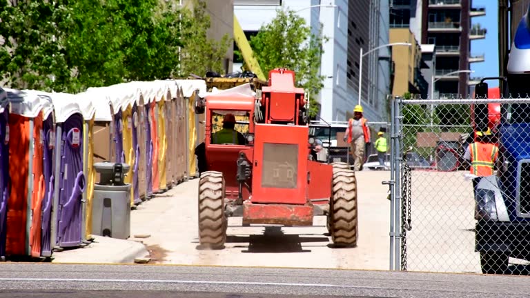 How Our Tree Care Process Works  in  Blue Point, NY